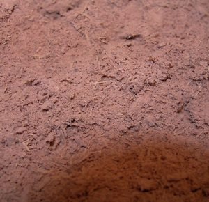 1kg Mimosa Hostilis (Jurema) Shredded Inner Root Bark (MHRB)