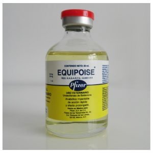 Equipoise